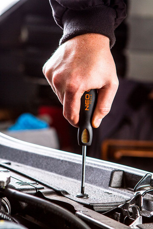 NEO Wkrętak PH 1x100mm 04-022